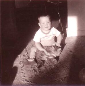 Whose cat is this?